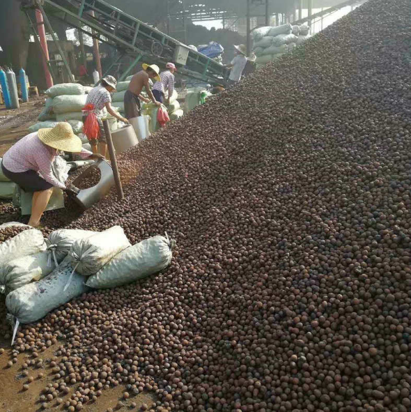 達人建材有限公司陶粒廠家 達人建材有限公司陶粒廠家