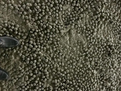 江西達人建材陶?;炷? title=